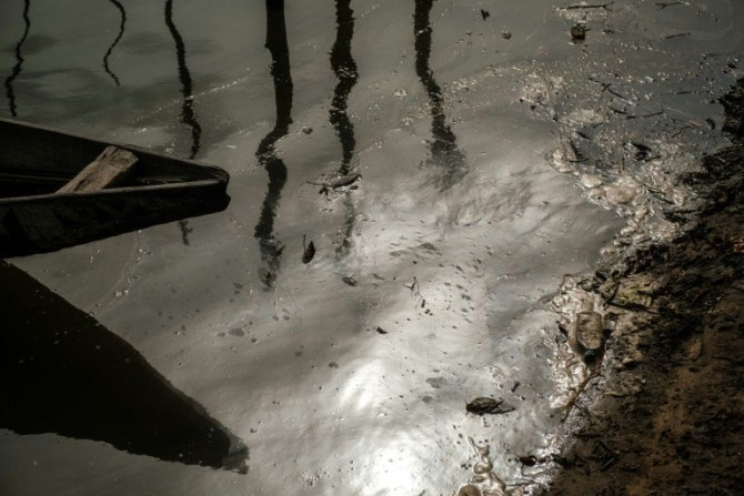 Devastation: Oil pollution on the River Bodo in southern Nigeria